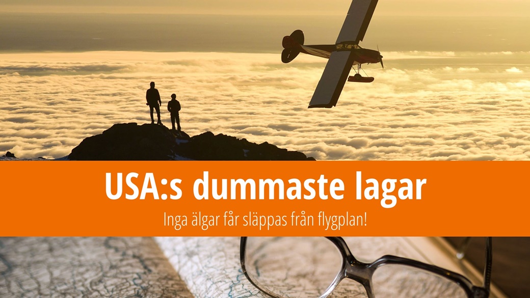 Dumma lagar i USA: Inga älgar får släppas från flygplan!