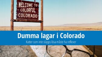 Dumma lagar i Colorado: Katter måste ha reflexer