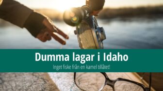 Dumma lagar i Idaho: Inget fiske från en kamel tillåtet!