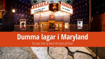 Dumma lagar i Maryland: Du kan inte ta med ett lejon på bio!