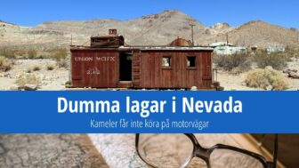 Dumma lagar i Nevada: Kameler får inte köra på motorvägar