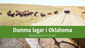 Dumma lagar i Oklahoma: Maximal kysstid är 3 minuter