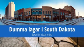 Dumma lagar i South Dakota: Byxor för hästar krävs!