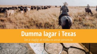 Dumma lagar i Texas: Att mjölka någon annans ko är olagligt