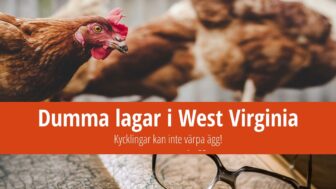 Dumma lagar i West Virginia: Kycklingar kan inte värpa ägg!