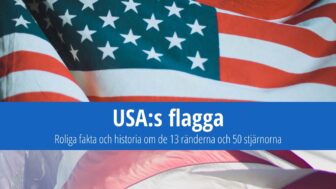 Amerikansk flagga – historia, antal stjärnor och ränder