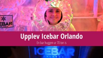 Upplev Icebar Orlando: En bar huggen ur 70 ton is