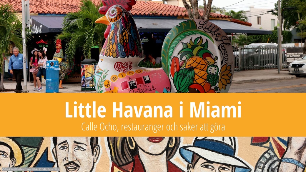 Little Havana i Miami – Calle Ocho, restauranger och tips | © Thank You (23 Millions+) views / Flickr, © Phillip Pessar / Flickr