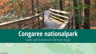 Congaree nationalpark – reseguide, bästa tips och bilder