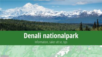 Denali nationalpark – mapa, bästa resetips och bilder