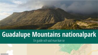 Guadalupe Mountains nationalpark – vandring, fakta och bilder