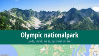 Olympic nationalpark – reseguide, väder och bästa tips