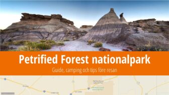 Petrified Forest nationalpark – guide, bästa tips och bilder