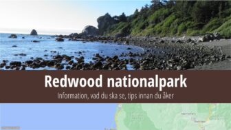 Redwood nationalpark – reseguide, bästa tips och bilder