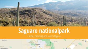 Saguaro nationalpark – fakta, reseguide och bilder