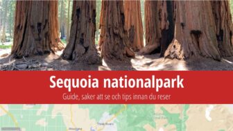 Sequoia nationalpark – träd, reseguide, bästa tips och bilder