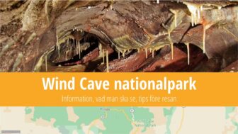 Wind Cave nationalpark – reseguide, bästa tips och bilder