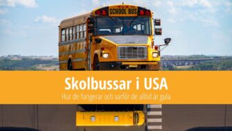 Skolbuss i USA – hur fungerar de och varför är de gula?