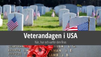 Veterandagen i USA – när, hur och varför firas den?